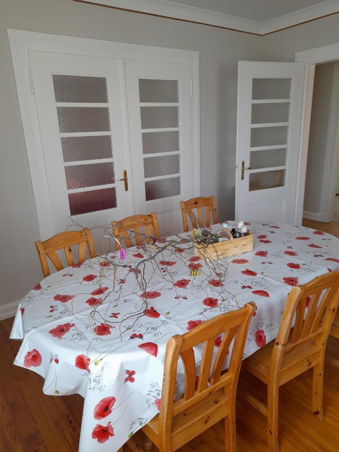 Apigîte68, proche route des vins, Vosges, Colmar et non loin d'Europa-Park! Ostheim Extérieur photo